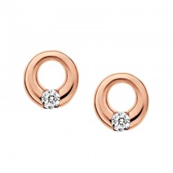 Skagen Ladies Earrings Elin SKJ0314998